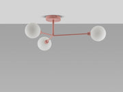 Rosa Ceiling — fotografía de producto