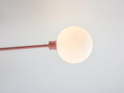 Rosa Ceiling — fotografía de producto
