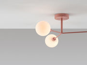 Rosa Ceiling — fotografía de producto