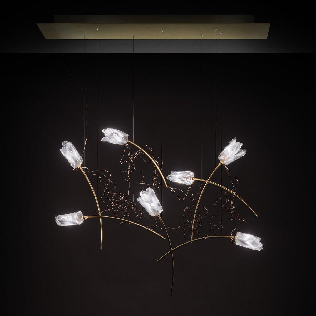 Flora Linear