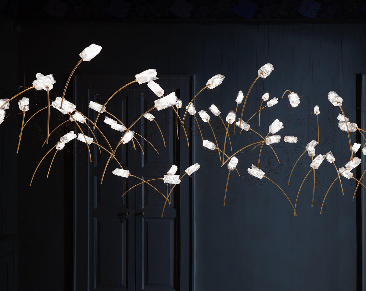 Flora Linear