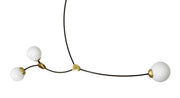 Silva Branch Pendant Vertical Four — vista de la colección