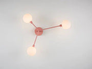 Rosa Ceiling — fotografía de producto
